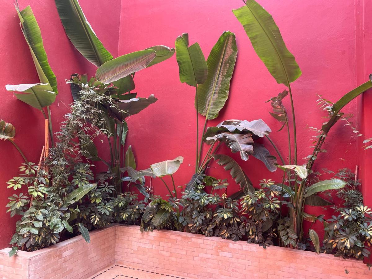 Riad L'Escale De Marrakech Marrakesz Zewnętrze zdjęcie